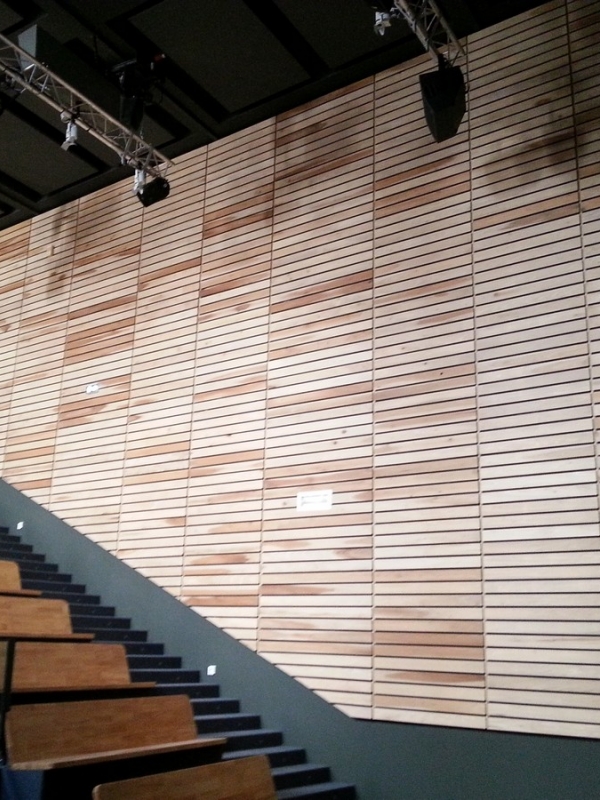 Wood veneer walls